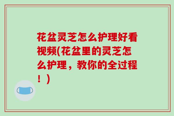 花盆灵芝怎么护理好看视频(花盆里的灵芝怎么护理,教你的全过程!) 花盆灵芝怎么护理好看视频(花盆里的灵芝怎么护理,教你的全过程!)