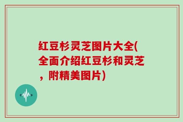 红豆杉灵芝图片大全(全面介绍红豆杉和灵芝，附精美图片)