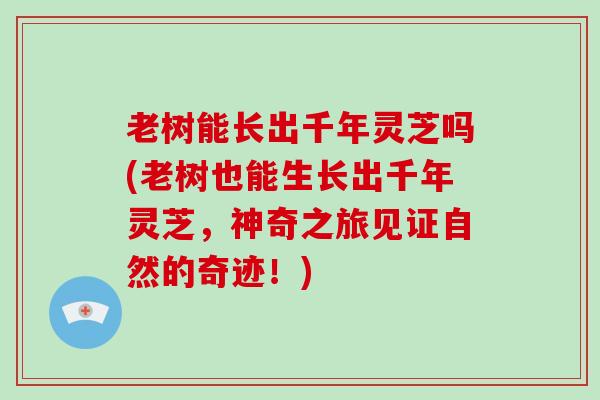 老树能长出千年灵芝吗(老树也能生长出千年灵芝,神奇之旅见证自然的奇迹!) 老树能长出千年灵芝吗(老树也能生长出千年灵芝,神奇之旅见证自然的奇迹!)