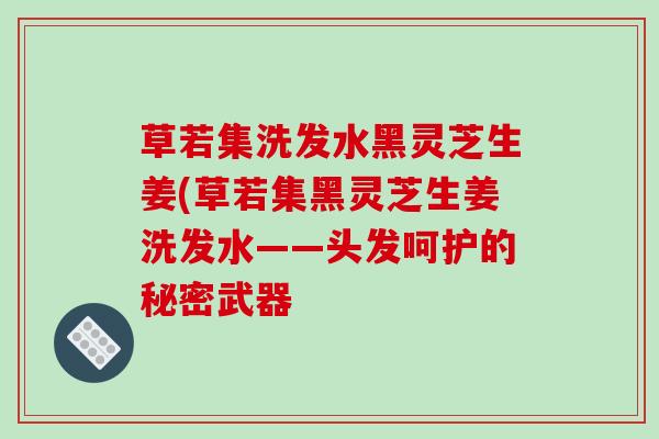 草若集洗发水黑灵芝生姜(草若集黑灵芝生姜洗发水——头发呵护的秘密武器 草若集洗发水黑灵芝生姜(草若集黑灵芝生姜洗发水——头发呵护的秘密武器