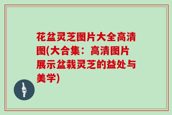 花盆灵芝图片大全高清图(大合集:高清图片展示盆栽灵芝的益处与美学) 花盆灵芝图片大全高清图(大合集:高清图片展示盆栽灵芝的益处与美学)