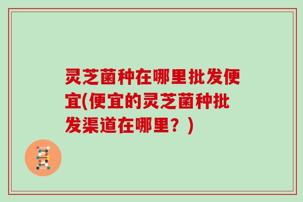 灵芝菌种在哪里批发便宜(便宜的灵芝菌种批发渠道在哪里?) 灵芝菌种在哪里批发便宜(便宜的灵芝菌种批发渠道在哪里?)