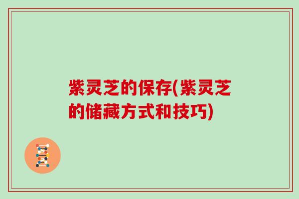 紫灵芝的保存(紫灵芝的储藏方式和技巧)