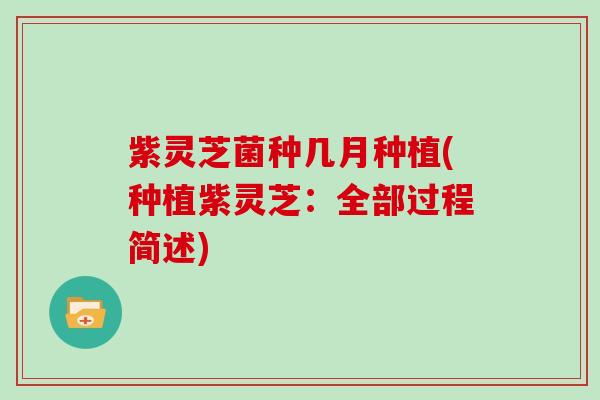 紫灵芝菌种几月种植(种植紫灵芝:全部过程简述) 紫灵芝菌种几月种植(种植紫灵芝:全部过程简述)