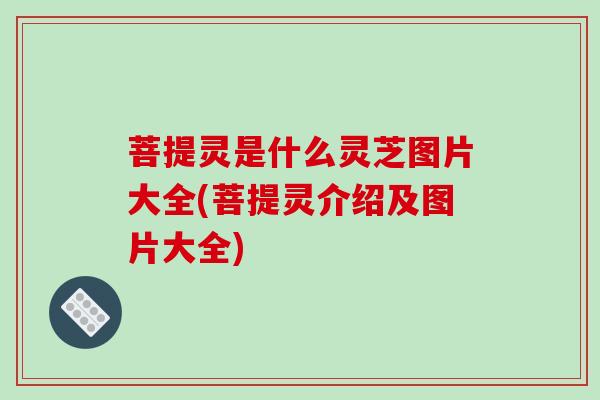 菩提灵是什么灵芝图片大全(菩提灵介绍及图片大全)