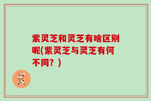 紫灵芝和灵芝有啥区别呢(紫灵芝与灵芝有何不同?) 紫灵芝和灵芝有啥区别呢(紫灵芝与灵芝有何不同?)