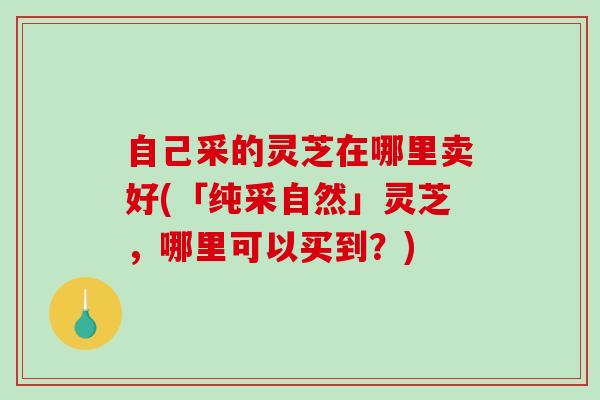 自己采的灵芝在哪里卖好(「纯采自然」灵芝，哪里可以买到？)