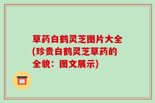 草药白鹤灵芝图片大全(珍贵白鹤灵芝草药的全貌：图文展示)