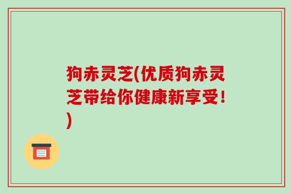 狗赤灵芝(优质狗赤灵芝带给你健康新享受!) 狗赤灵芝(优质狗赤灵芝带给你健康新享受!)