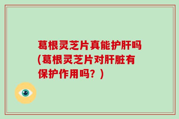 葛根灵芝片真能吗(葛根灵芝片对有保护作用吗?) 葛根灵芝片真能吗(葛根灵芝片对有保护作用吗?)