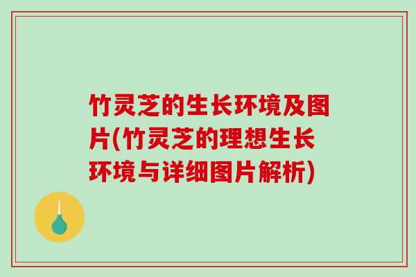 竹灵芝的生长环境及图片(竹灵芝的理想生长环境与详细图片解析) 竹灵芝的生长环境及图片(竹灵芝的理想生长环境与详细图片解析)