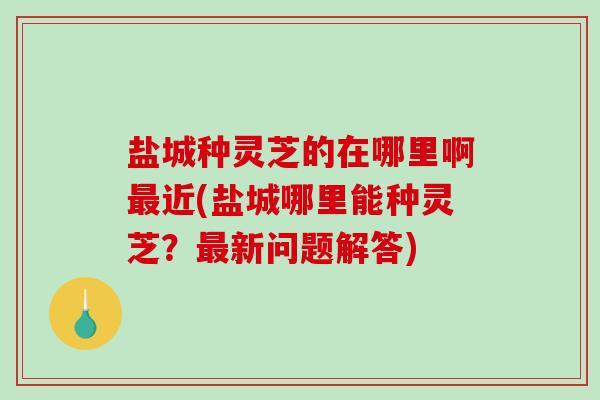 盐城种灵芝的在哪里啊近(盐城哪里能种灵芝?新问题解答) 盐城种灵芝的在哪里啊近(盐城哪里能种灵芝?新问题解答)
