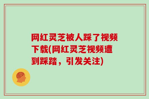 网红灵芝被人踩了视频下载(网红灵芝视频遭到踩踏,引发关注) 网红灵芝被人踩了视频下载(网红灵芝视频遭到踩踏,引发关注)