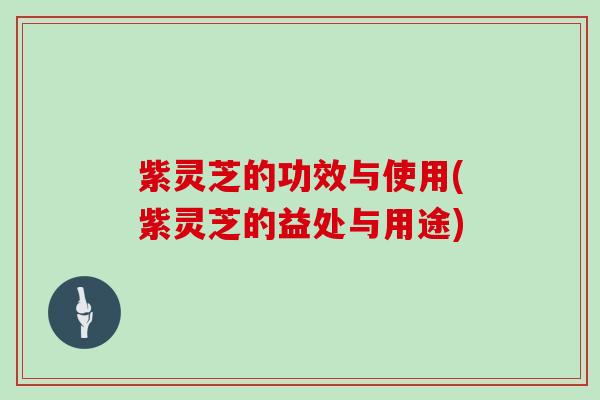 紫灵芝的功效与使用(紫灵芝的益处与用途) 紫灵芝的功效与使用(紫灵芝的益处与用途)