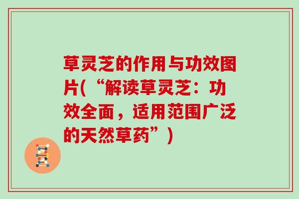 草灵芝的作用与功效图片(“解读草灵芝:功效全面,适用范围广泛的天然草药”) 草灵芝的作用与功效图片(“解读草灵芝:功效全面,适用范围广泛的天然草药”)
