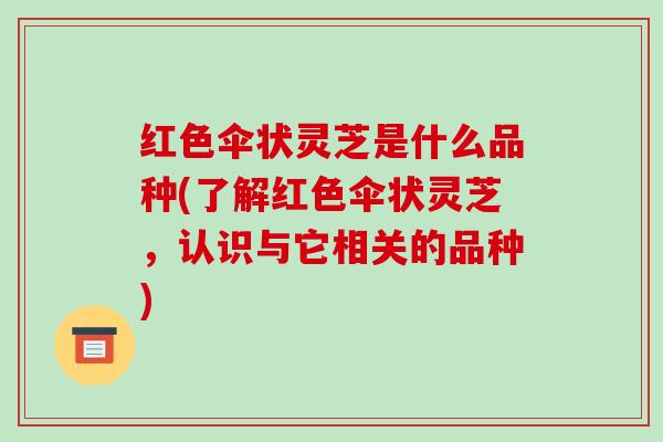 红色伞状灵芝是什么品种(了解红色伞状灵芝,认识与它相关的品种) 红色伞状灵芝是什么品种(了解红色伞状灵芝,认识与它相关的品种)