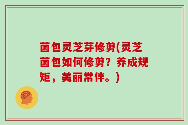菌包灵芝芽修剪(灵芝菌包如何修剪?养成规矩,美丽常伴。) 菌包灵芝芽修剪(灵芝菌包如何修剪?养成规矩,美丽常伴。)