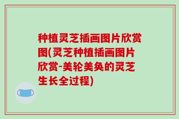 种植灵芝插画图片欣赏图(灵芝种植插画图片欣赏-美轮美奂的灵芝生长全过程) 种植灵芝插画图片欣赏图(灵芝种植插画图片欣赏-美轮美奂的灵芝生长全过程)