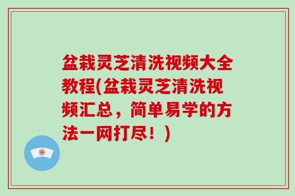 盆栽灵芝清洗视频大全教程(盆栽灵芝清洗视频汇总,简单易学的方法一网打尽!) 盆栽灵芝清洗视频大全教程(盆栽灵芝清洗视频汇总,简单易学的方法一网打尽!)