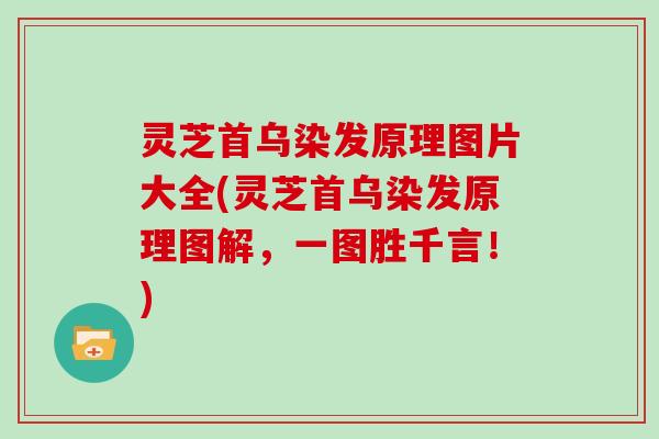 灵芝首乌染发原理图片大全(灵芝首乌染发原理图解,一图胜千言!) 灵芝首乌染发原理图片大全(灵芝首乌染发原理图解,一图胜千言!)