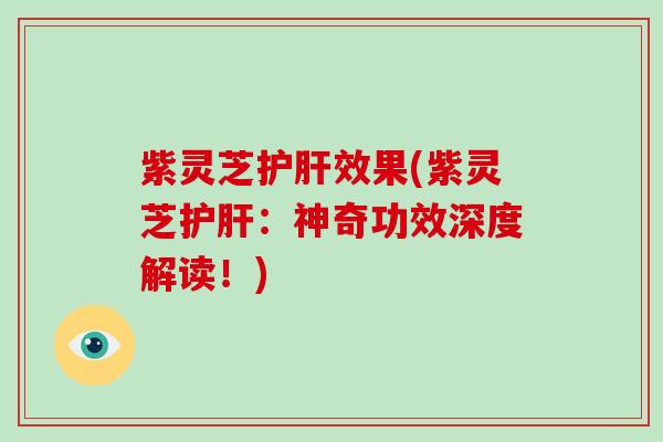 紫灵芝效果(紫灵芝:神奇功效深度解读!) 紫灵芝效果(紫灵芝:神奇功效深度解读!)