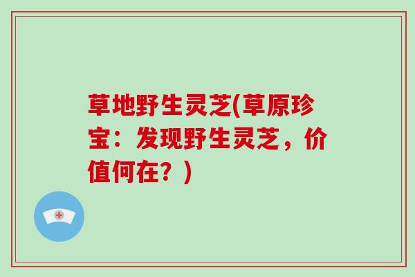 草地野生灵芝(草原珍宝:发现野生灵芝,价值何在?) 草地野生灵芝(草原珍宝:发现野生灵芝,价值何在?)