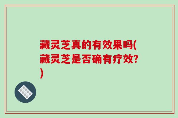 藏灵芝真的有效果吗(藏灵芝是否确有疗效?) 藏灵芝真的有效果吗(藏灵芝是否确有疗效?)
