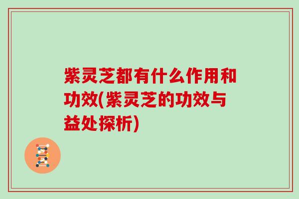 紫灵芝都有什么作用和功效(紫灵芝的功效与益处探析) 紫灵芝都有什么作用和功效(紫灵芝的功效与益处探析)