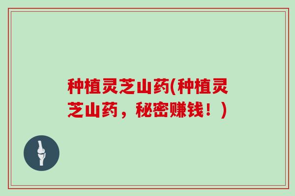 种植灵芝山药(种植灵芝山药，秘密赚钱！)