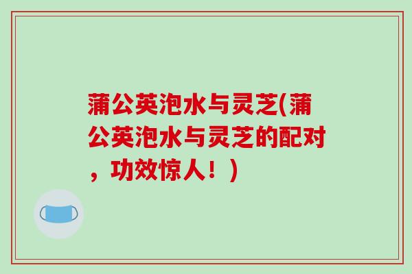 蒲公英泡水与灵芝(蒲公英泡水与灵芝的配对，功效惊人！)