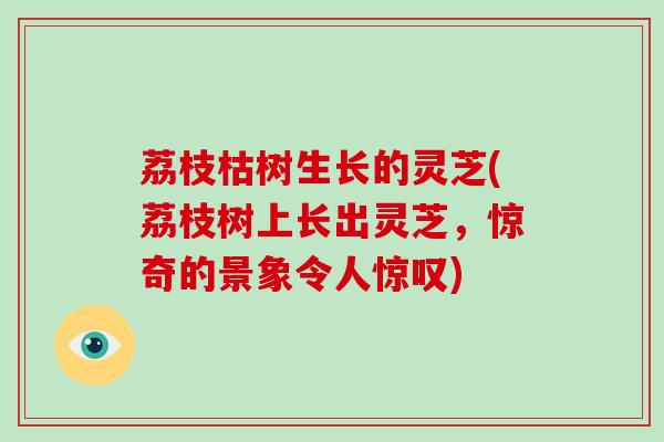 荔枝枯树生长的灵芝(荔枝树上长出灵芝，惊奇的景象令人惊叹)