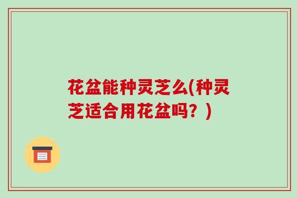 花盆能种灵芝么(种灵芝适合用花盆吗？)