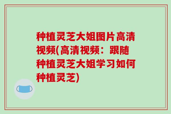 种植灵芝大姐图片高清视频(高清视频：跟随种植灵芝大姐学习如何种植灵芝)
