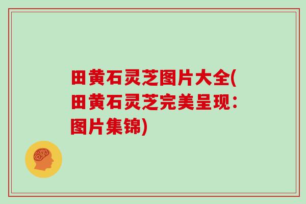 田黄石灵芝图片大全(田黄石灵芝完美呈现:图片集锦) 田黄石灵芝图片大全(田黄石灵芝完美呈现:图片集锦)