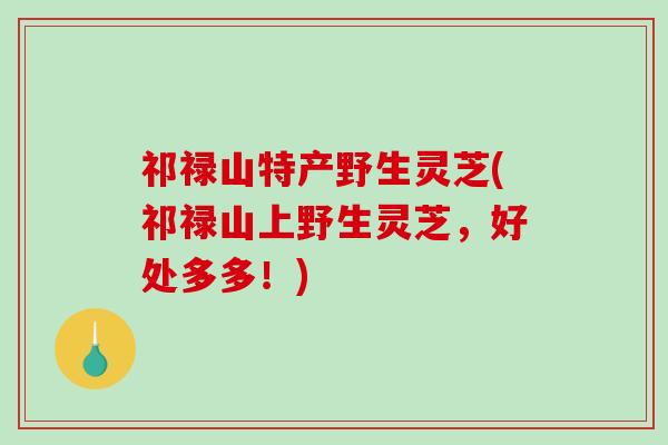 祁禄山特产野生灵芝(祁禄山上野生灵芝,好处多多!) 祁禄山特产野生灵芝(祁禄山上野生灵芝,好处多多!)