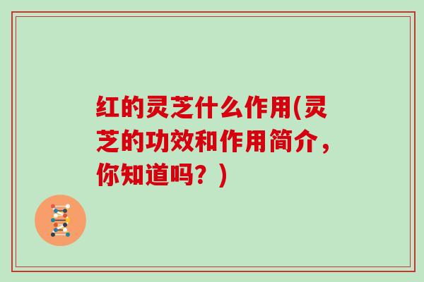 红的灵芝什么作用(灵芝的功效和作用简介,你知道吗?) 红的灵芝什么作用(灵芝的功效和作用简介,你知道吗?)