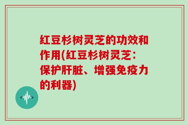 红豆杉树灵芝的功效和作用(红豆杉树灵芝:保护、增强免疫力的利器) 红豆杉树灵芝的功效和作用(红豆杉树灵芝:保护、增强免疫力的利器)