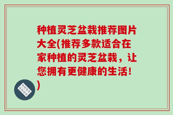 种植灵芝盆栽推荐图片大全(推荐多款适合在家种植的灵芝盆栽,让您拥有更健康的生活!) 种植灵芝盆栽推荐图片大全(推荐多款适合在家种植的灵芝盆栽,让您拥有更健康的生活!)