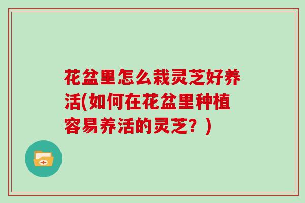 花盆里怎么栽灵芝好养活(如何在花盆里种植容易养活的灵芝?) 花盆里怎么栽灵芝好养活(如何在花盆里种植容易养活的灵芝?)