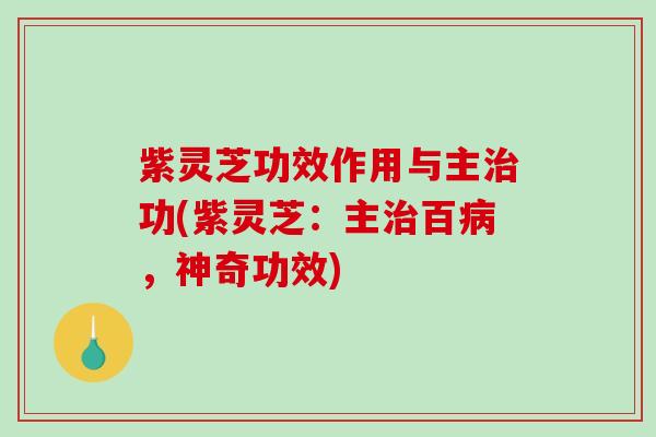 紫灵芝功效作用与主功(紫灵芝:主百,神奇功效) 紫灵芝功效作用与主功(紫灵芝:主百,神奇功效)