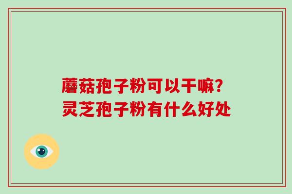 蘑菇孢子粉可以干嘛？灵芝孢子粉有什么好处