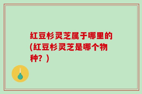 红豆杉灵芝属于哪里的(红豆杉灵芝是哪个物种？)