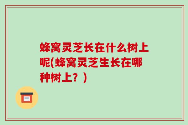 蜂窝灵芝长在什么树上呢(蜂窝灵芝生长在哪种树上？)