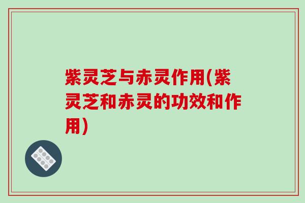 紫灵芝与赤灵作用(紫灵芝和赤灵的功效和作用) 紫灵芝与赤灵作用(紫灵芝和赤灵的功效和作用)