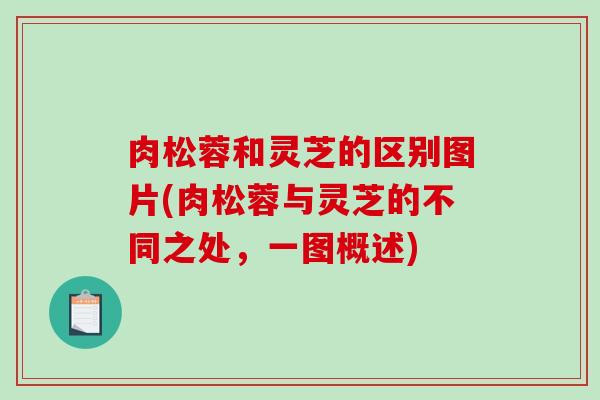 肉松蓉和灵芝的区别图片(肉松蓉与灵芝的不同之处，一图概述)