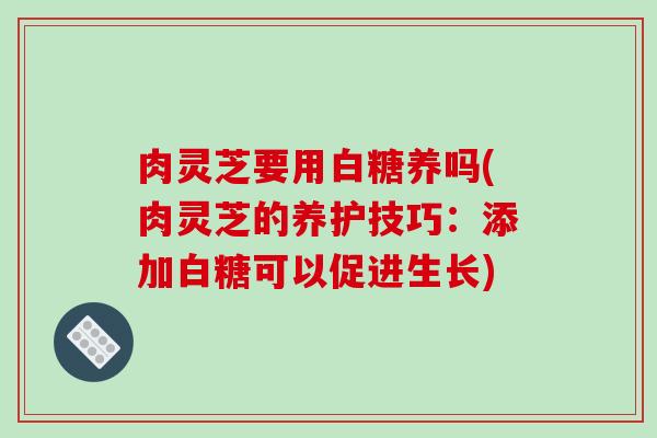 肉灵芝要用白糖养吗(肉灵芝的养护技巧：添加白糖可以促进生长)