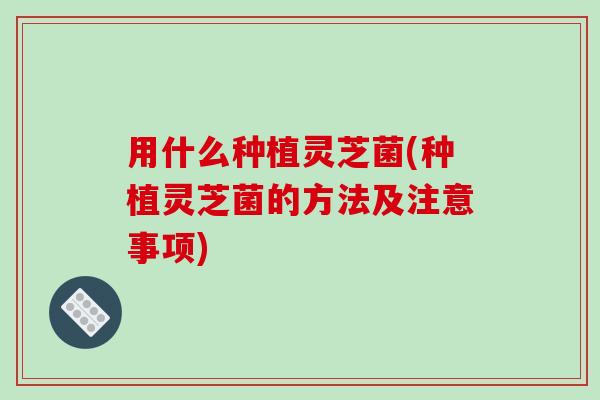 用什么种植灵芝菌(种植灵芝菌的方法及注意事项)