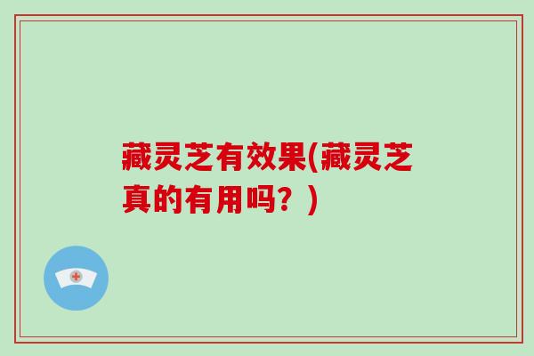 藏灵芝有效果(藏灵芝真的有用吗？)