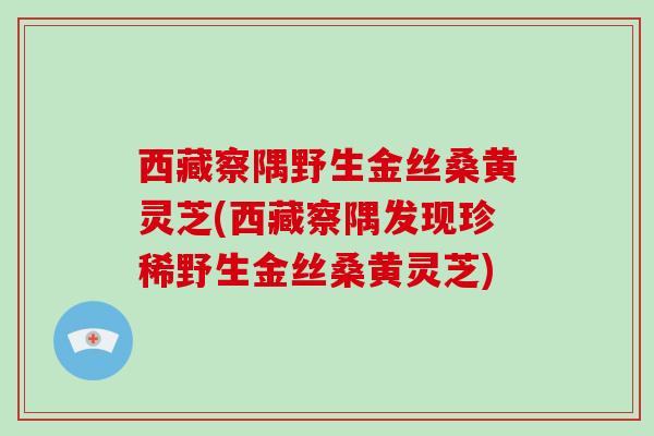 西藏察隅野生金丝桑黄灵芝(西藏察隅发现珍稀野生金丝桑黄灵芝) 西藏察隅野生金丝桑黄灵芝(西藏察隅发现珍稀野生金丝桑黄灵芝)