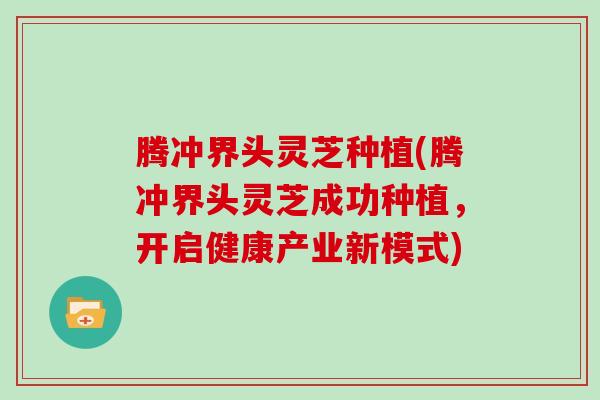 腾冲界头灵芝种植(腾冲界头灵芝成功种植,开启健康产业新模式) 腾冲界头灵芝种植(腾冲界头灵芝成功种植,开启健康产业新模式)